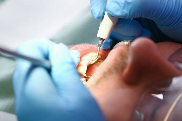 Best Emergency Dentist Near Me  in Ester, AK